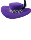 @SantasHughJanus's hat